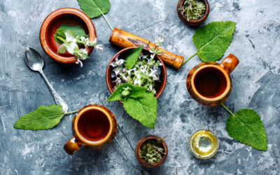 Zioła na odchudzanie: naturalne wsparcie w walce z nadmiarem kilogramów